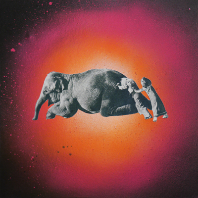 elephant